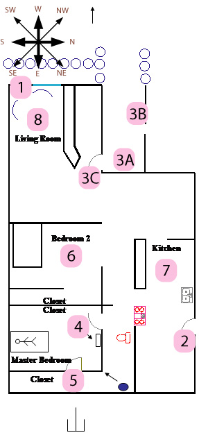 feng shui masters case study apartments a. v.